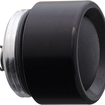 Stinger Tail Cap/Switch A