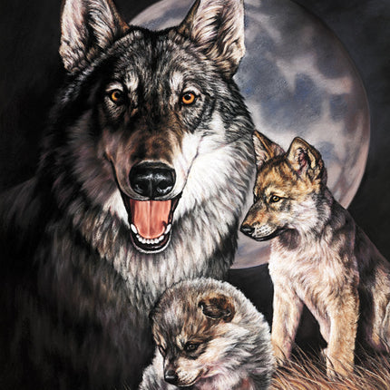 Graham Wolf Experience