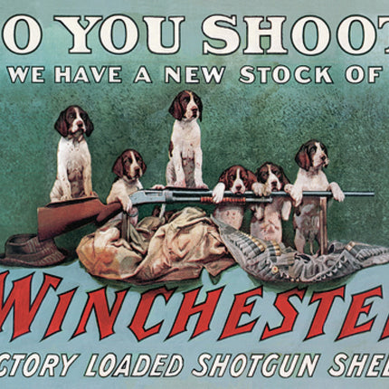 Do You Shoot?
