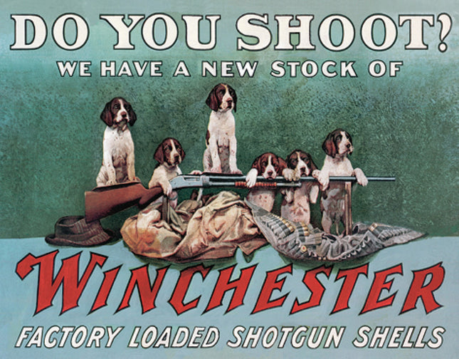 Do You Shoot?