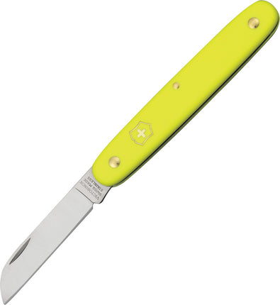 Floral Knife Yellow