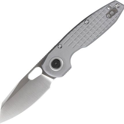 Ankylo Vanchor Lock Gray