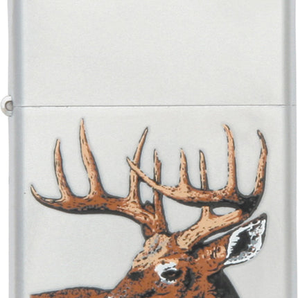 Whitetail Buck Deer