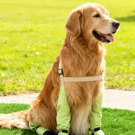 a93e5685-a585-4d86-a1ea-a396b160fa54-Max-Origin