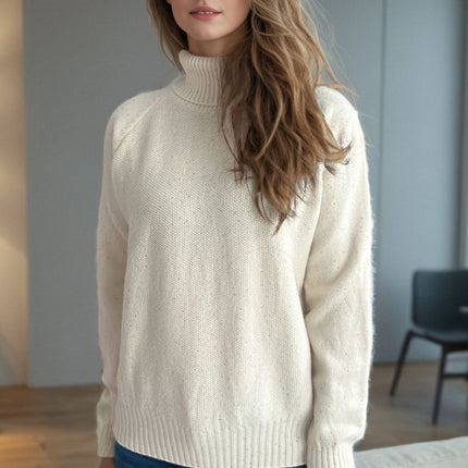 Ribbed Turtleneck Raglan Sleeve Sweater