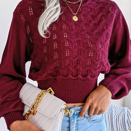 Openwork Mock Neck Long Sleeve Cropped Sweater