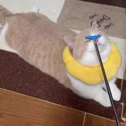 be55d88d-df74-4bc4-beab-be1d91786f32-Max-Origin