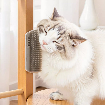 c10d7400-465c-458c-86d8-044412e67050-Max-Origin