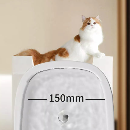 c21e5f0b-8d90-4b84-bacf-1d23284dc001-Max-Origin