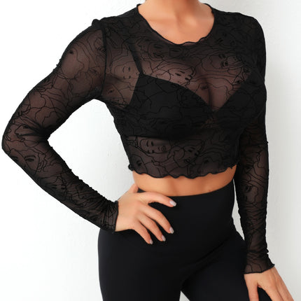 Round Neck Long Sleeve Sheer Top