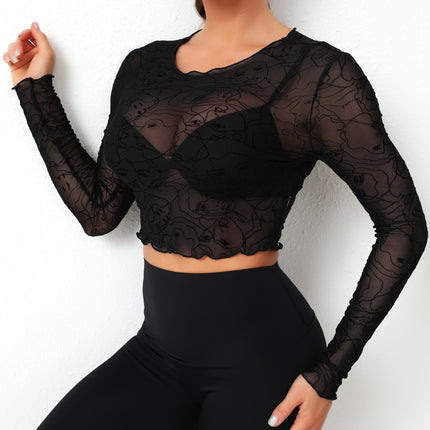 Round Neck Long Sleeve Sheer Top