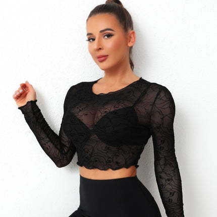 Round Neck Long Sleeve Sheer Top