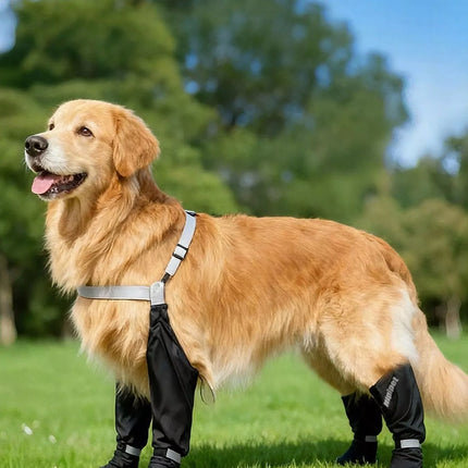 dbc242c0-d8c6-49e6-a1c4-41c08332669c-Max-Origin