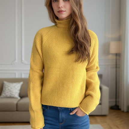 Turtleneck Long Sleeve Sweater