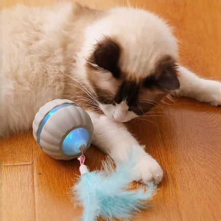 ecd50db6-f7c9-4796-b018-38bf95870302-Max-Origin