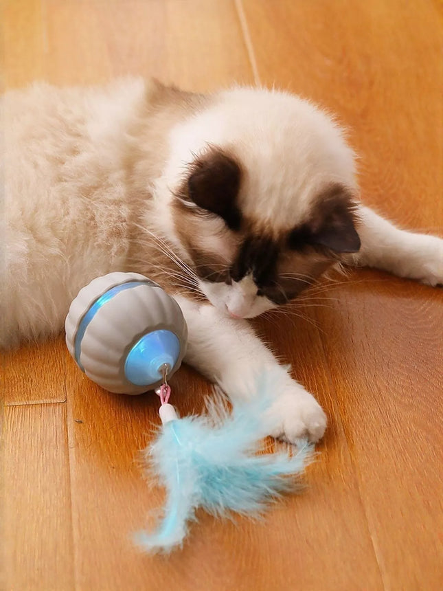 ecd50db6-f7c9-4796-b018-38bf95870302-Max-Origin