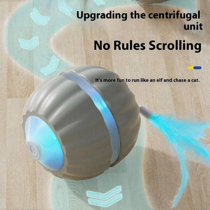 f5823f98-0238-4162-99fe-7b0f97110412-Max-Origin