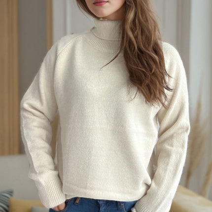 Solid Color Turtleneck Long Sleeve Sweater