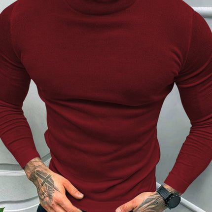 Men's Solid Color Turtleneck Long Sleeve T-Shirt