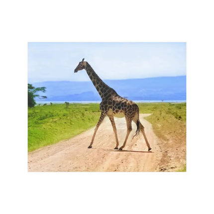 Wall Art Decor Safari Giraffe Wildlife Nature Poster Print