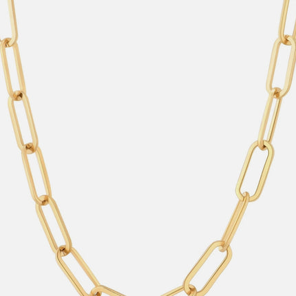 Thick Clip Chain Necklace