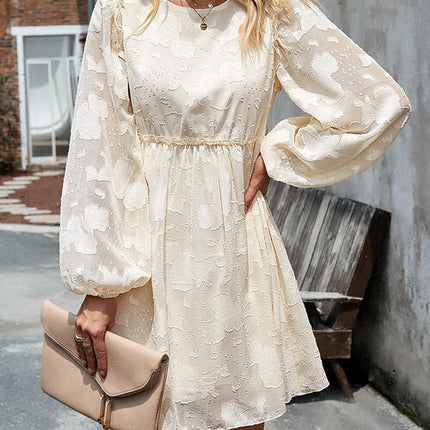 Ruffle Trim Balloon Sleeve Mini Dress