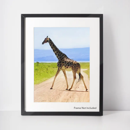 Wall Art Decor Safari Giraffe Wildlife Nature Poster Print
