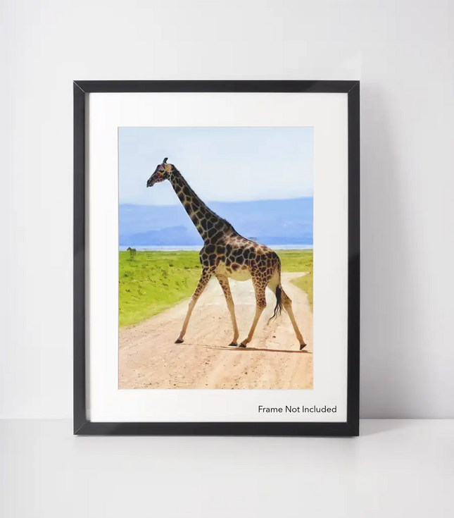 Wall Art Decor Safari Giraffe Wildlife Nature Poster Print