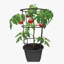 12" Vista Tomato Planter w/ Removable Trellis