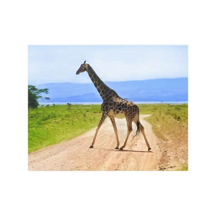 Wall Art Decor Safari Giraffe Wildlife Nature Poster Print