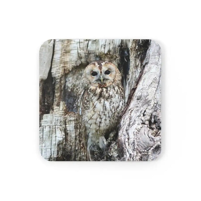 Juego de posavasos de madera de corcho, posavasos de búho gris, 4 piezas