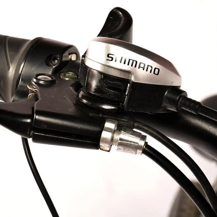 Bicicleta eléctrica para adultos