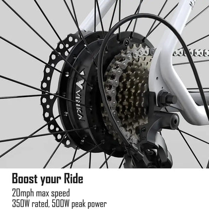 Electric Bike for Adults