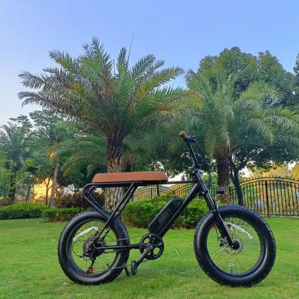 Hybrid-Bicycles Amped 6 Speed E-Bike