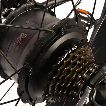 Bicicleta eléctrica para adultos