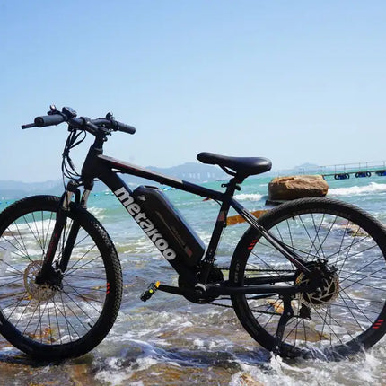 Bicicleta eléctrica para adultos