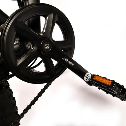 Bicicleta eléctrica para adultos