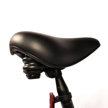 Bicicleta eléctrica para adultos