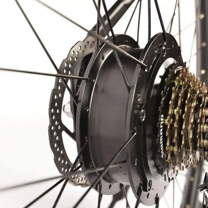 Electric Bike for Adults