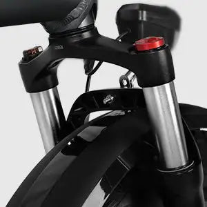 1000W Folding Electric Bicycle for Adult