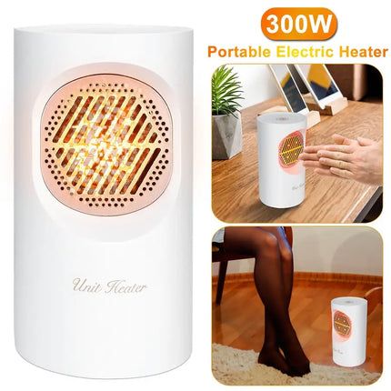 300W Portable Electric Heater