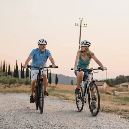 electric bikes  Macmission 100-1