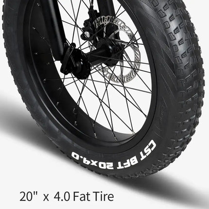 Fiido M1 20" Fat Tires Folding Electric Mountain Bike 250W Motor 7 Speed Derailleur 3 Mode LED Display
