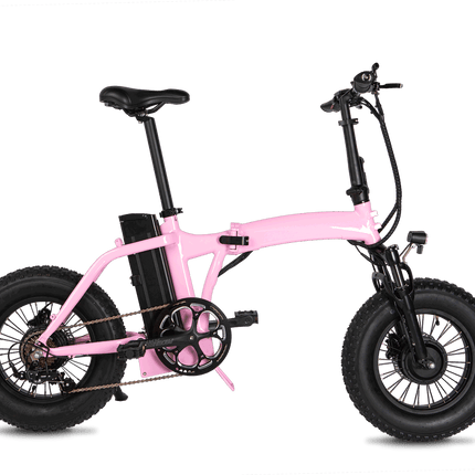 Dual-Drive Fat Tire E-bike Pro