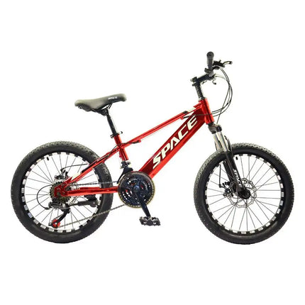 21-Speed With 20-Inch Wheels Mountain Bike For Kids