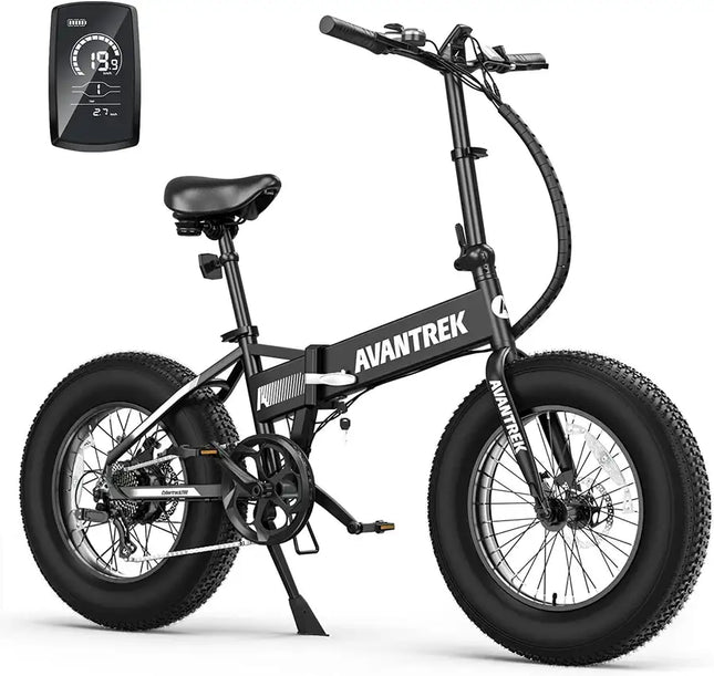 Electric Bike for Adults