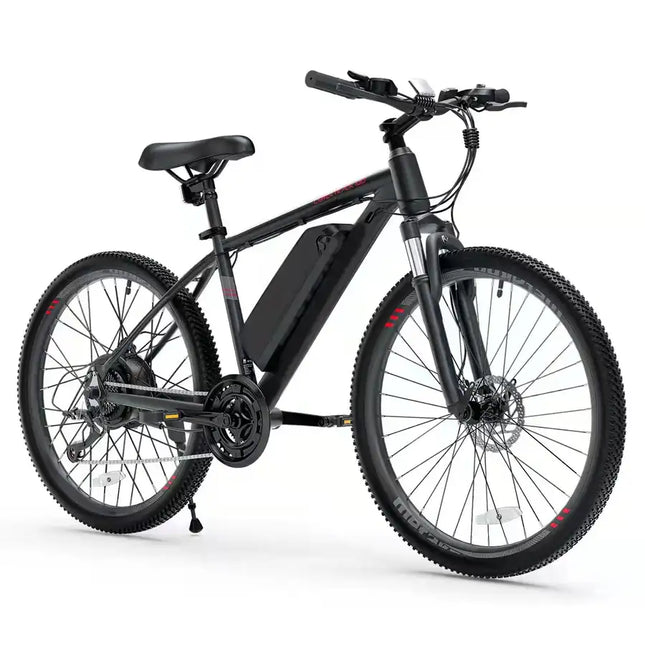 Electric Bike for Adults