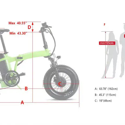 Dual-Drive Fat Tire E-bike Pro