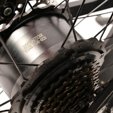 Bicicleta eléctrica para adultos