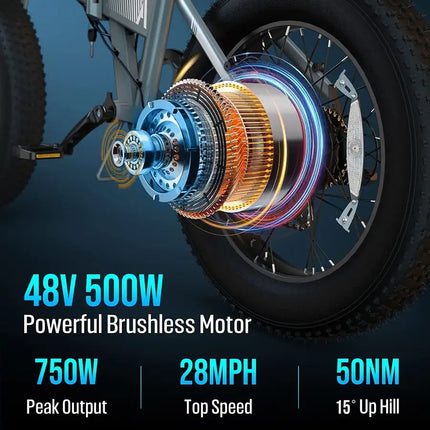 Bicicleta eléctrica para adultos